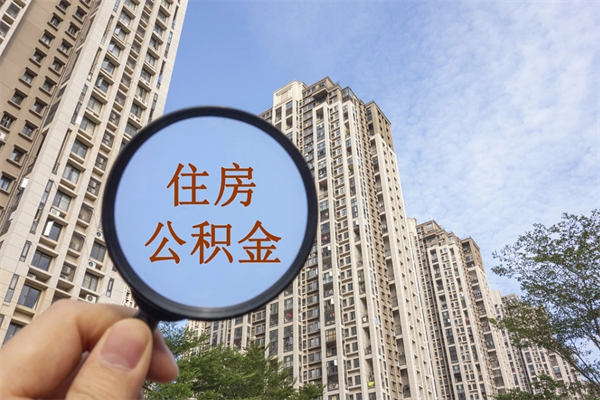 神农架去年11月提的公积金今年几月（去年12月提的公积金今年几月可以提）